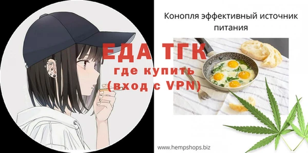 мдпв Ельня