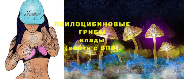 мет Пересвет