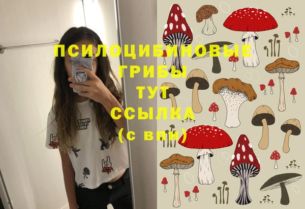 ECSTASY Покров