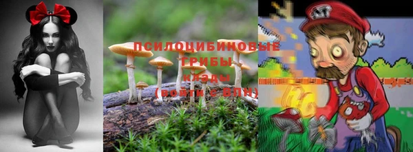 ECSTASY Покров
