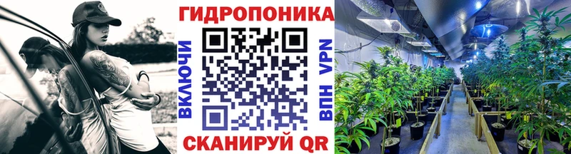 Марихуана SATIVA & INDICA  Рудня 